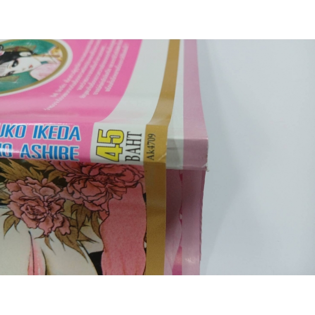 เจ้าสาวซาตาน THE BRIDE OF THE DEMON 9 **รบกวนเลื่อนดูสภาพหนังสือก่อนการสั่งซื้อ**